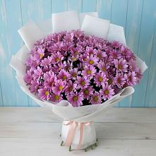 Букет цветов из:  Хризантемы в Ныроб