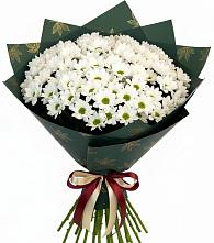 Букет цветов из:  Хризантемы #REPLACE_PRED# Ныроб